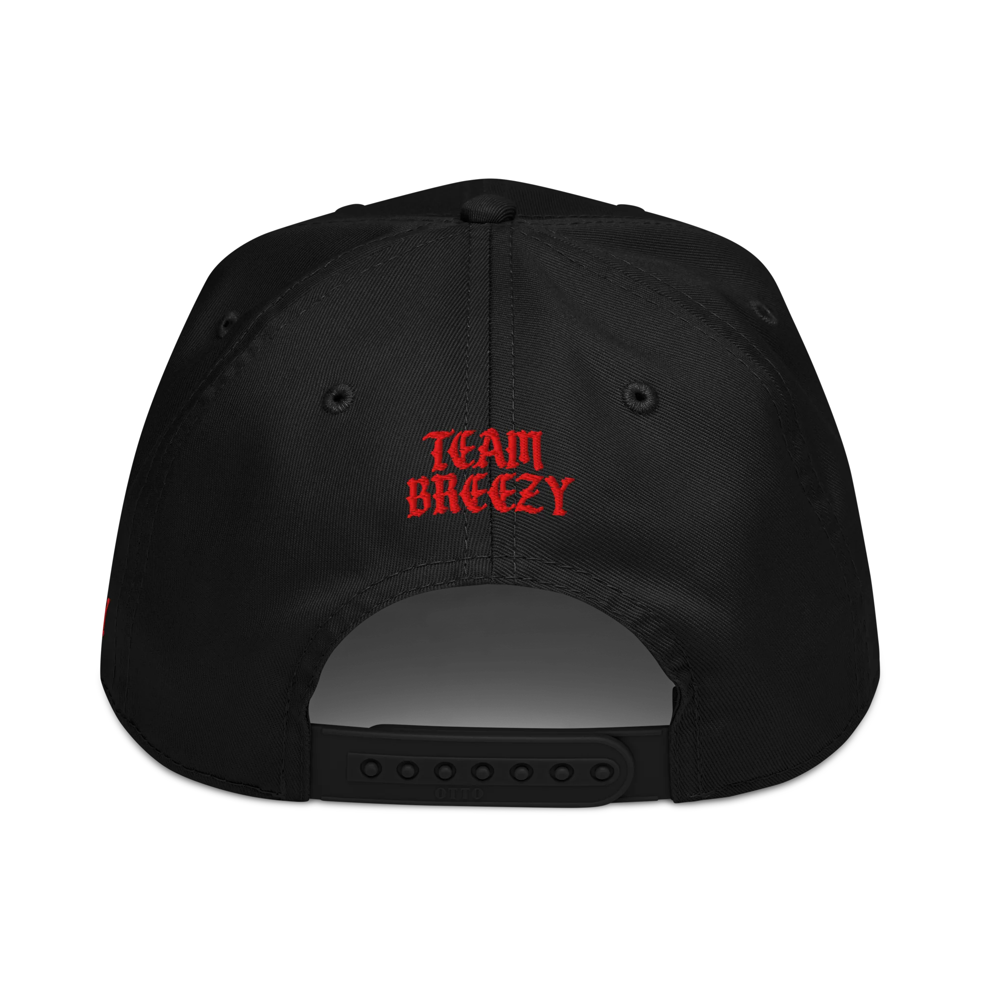 FALLIN 5 Panel Cap - Image 2