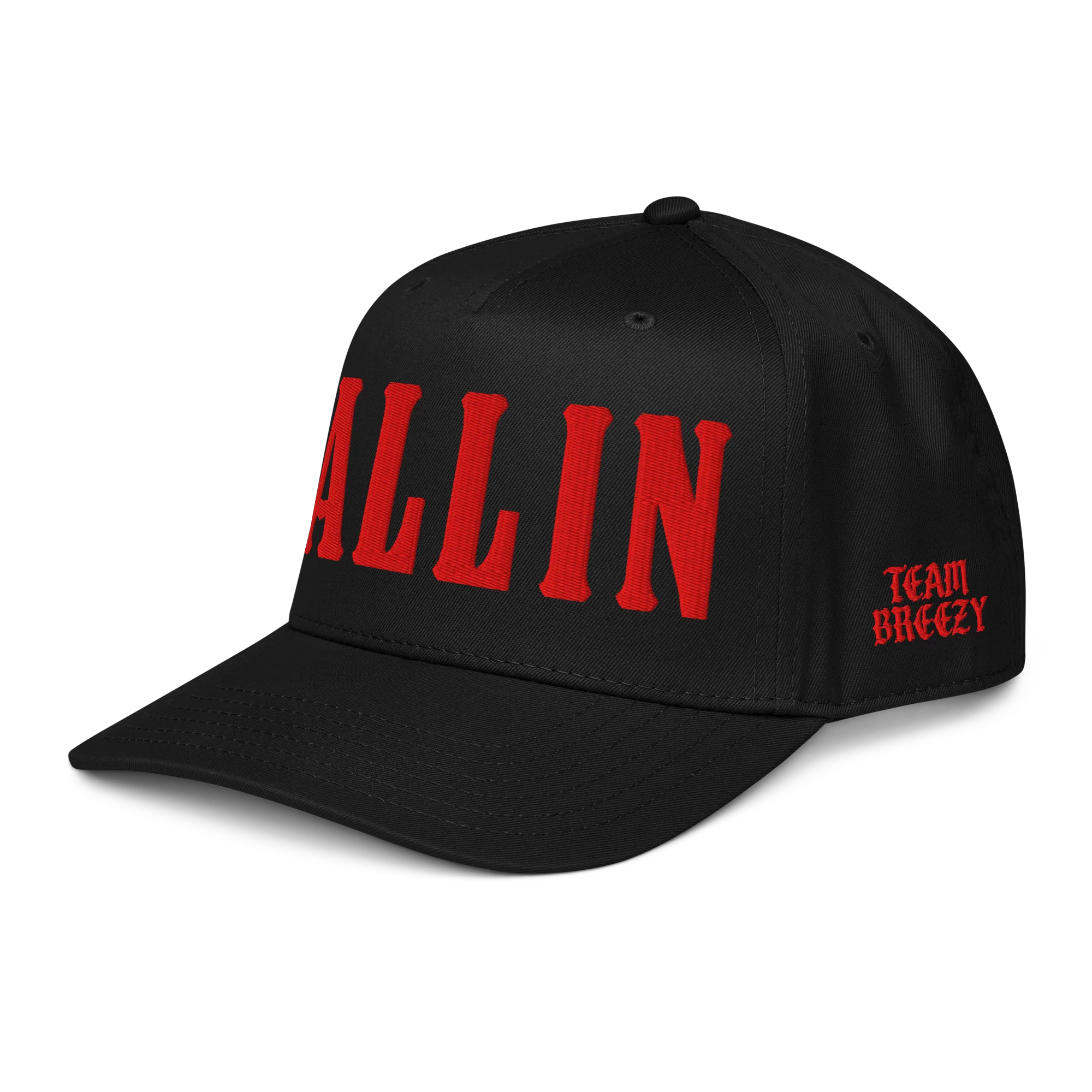 FALLIN 5 Panel Cap - Image 3
